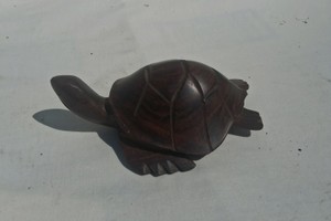 FANCY WOOD TURTLE