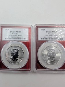 Canada 2021 Red-Tailed Hawk Silver Coin Mixed Lot (4)