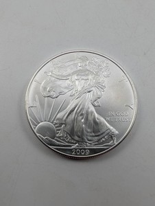 2009 American Silver Eagle 1 Oz Silver Dollar
