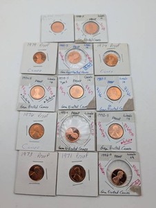 Lincoln Cent Proof and Cameo Coin Group (Lot of 14)