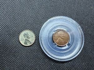 1920 and 1922 Wheat Pennies