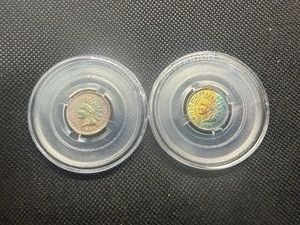 Two Toned 1907 Indian Head Penny