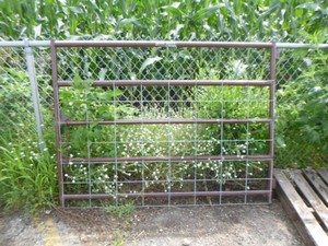 Farm Gate