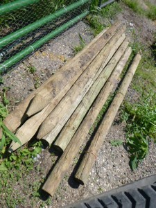 8 Green Treated Fence Posts