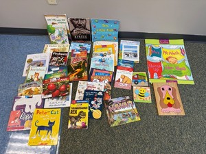 Childrens Picture Books & Early Readers Mixed Lot