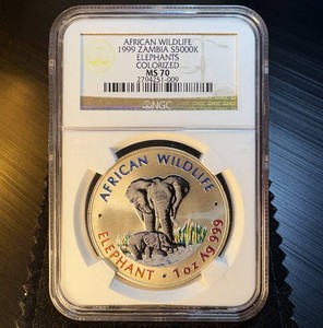 1 of 1, Top Pop .999 MS70 1999 Zambia 5,000 Kwacha Colorized African Elephants