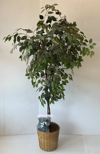 Unique 6FT Fake Tree With Lights