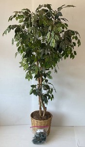 Unique 6FT Fake Tree With Lights