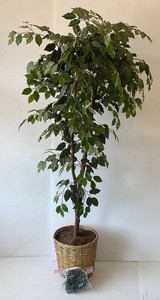 Unique 6FT Fake Tree With Lights