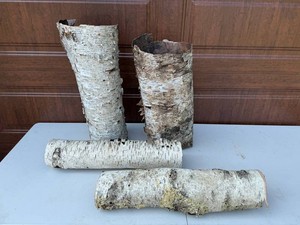 Birch Bark Logs (Lot of 4)