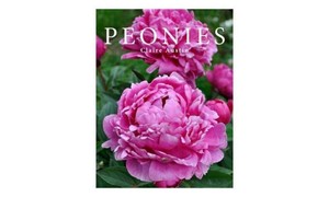 $39 Peonies