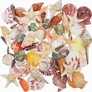 Sea Shells Mixed Beach Seashells 9 Kinds 1.2-3.5 Various Sizes Natural Seashells and 2 Kinds of Natural Starfish for Beach Themed Party DIY Crafts Fishtank Vase Fillers Home Wedding Decorations
