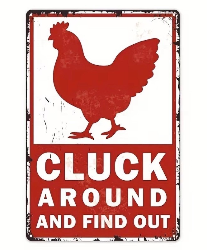 Cluck Around and Find Out Rooster 8 x 12 Metal Sign - Brand New Q