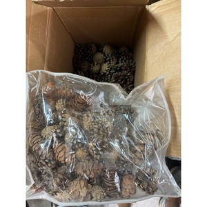 Mixed Natural Decor Lot � Pinecones, Dried Flowers & Accents