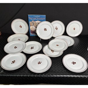 Crandima Tea Leaf Ironstone Dinner Plates Set � White with Brown Floral