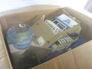 (G-1) Box Full of Assorted New Shel...