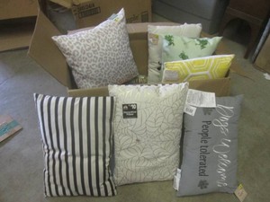 (BR2) Assorted New Throw Pilows...