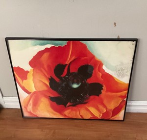 Framed Flower Picture
