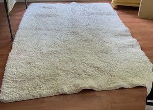 Rug and Pillow Lot
