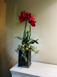 Flower Home Dcor