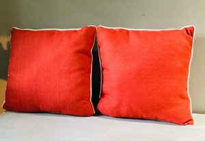 2 Throw Pillows