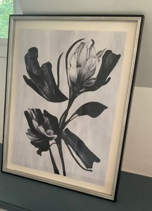 Black Flower Picture