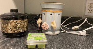 2 Candle Warmers and Melts