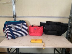 Bag Lot