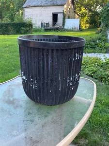 Planter with White Rocks