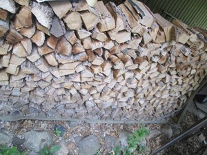 Half Wall of cut and dried firewood