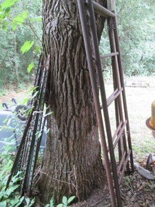 Misc metal t-posts and scaffolding uprights
