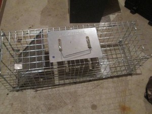 Brand new metal animal live trap