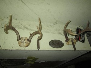Lot of deer antlers, bottle openers and hub caps