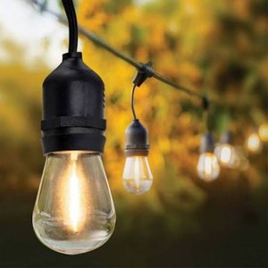 Feit Electric 48 ft. LED String Lights