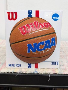 Wilson ICON 28.5 Basketball