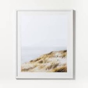 30  Cold Beach Framed Wall Art - Threshold designed with Studio McGee