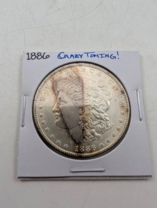1886 Morgan Silver Dollar Crazy Toning