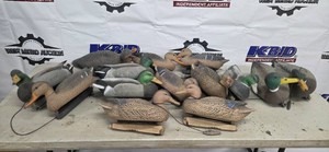 Duck Decoys
