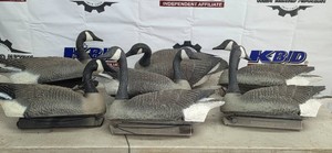 Goose Decoys