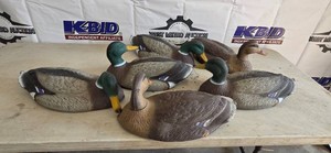 Lot of 6 decoys