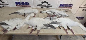 Outlaw Decoys full-body silhouette snow goose decoys
