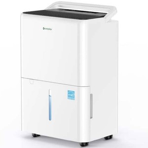 waykar 30 pt. 2000 sq. ft. Energy Star Dehumidifier with Drain Hose and Bucket for Bedroom, Basement in White