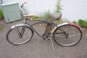 Vintage Schwinn Tiger Bicycle