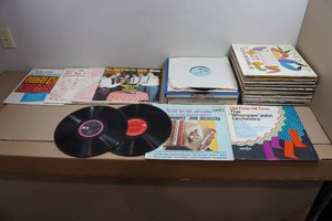 Assorted Vinyl Record Albums - Country, Western, Polka, Orchestra