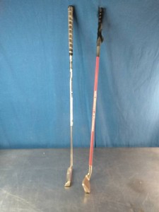Swingrite II Learning Tool and a TaylorMade Nubbins B1s putter