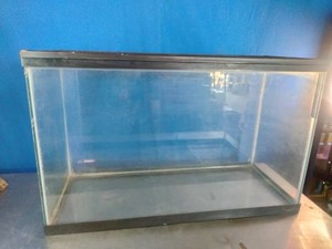 Fish or Reptile Tank