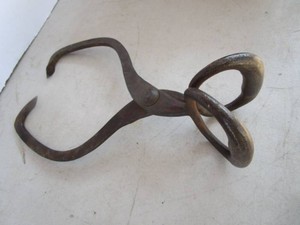 Antique Ice Tongs, Household Size