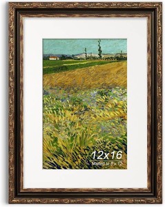 12x16 Picture Frame, Ornate Embossing Frame with Paper Mat and Plexiglass, Fit for 12x16 without Mat or 8x12 with Mat, Wall Mounting Display for Art Prints, Bronze and Antique Gold, 1 Pack