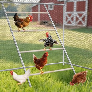 Chicken Perch Roosting Bars for Coop Farm Chicken Toys Roost Ladder for Backyard Poultry (58.2 L x 32 W)
