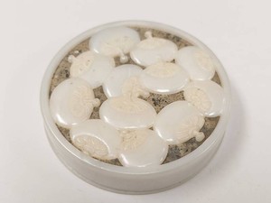 Vintage Coty Airspun Muguet Des Bois Cream Powder Compact Rachel 1